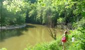 Trail On foot Houyet - GrWandArdRiv27: Gendron: een prachtig stuk Beneden-Lesse (PVDB) - Photo 8