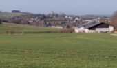 Trail Walking Dinant - Furfooz 020321 - Photo 6