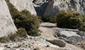 Tour Wandern Puyloubier - Puyloubier - Hermitage de St. Ser- Col de Vauvenarguse - Pic des mouches - Puyloubier - Photo 3