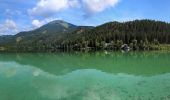 Tocht Te voet Gemeinde Mitterbach am Erlaufsee - Erlaufsee - Brunnsteinalm - Photo 6