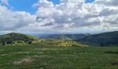 Tour Wandern Grendelbruch - Tour du petit Rosskopf & piton du Falkenstein - Photo 5