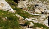 Excursión Senderismo Aussois - Aussois à Peclet - Photo 10