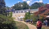 Tour Wandern Sceaux - Boucle autour du parc de Sceaux - Photo 10