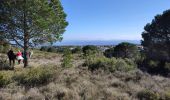 Trail Walking Aragon - aragon - Photo 5