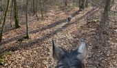 Trail Horseback riding Habay - Marbehan côté Thibessart - Photo 2