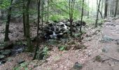 Trail Walking Jalhay - Chemin vicinal 66 - Photo 3