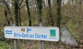 Trail Walking Thuin - Thuin -Abbaye d’Aulne et retour par la Biesmelle - Photo 16