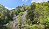 Trail Walking Metzeral - Sentier historique - Mittlach - Fischboedle - Photo 20