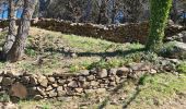 Tour Wandern La Garde-Freinet - La garde freinet - Notre Dame de Miremer - Photo 15