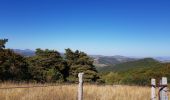 Randonnée Marche Valbeleix - AUVERGNE  MARCENAT (63) - Photo 7