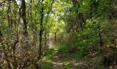 Trail Walking Saint-Cirq-Lapopie - RA 2019 Lot Tour de Saint Cirq - Photo 7