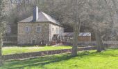 Percorso Marcia Saint-Hubert - A la découverte de Mirwart et ses environs  - Photo 13
