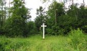 Tour Wandern Rethondes - en forêt de Laigue_4_08_2019_Mont du Fouilleux_Mont des Singes_Marais de Francière - Photo 16