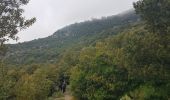 Tour Wandern Peille - Mont Agel Sytitrail + - Photo 2