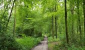 Trail Walking Gulpen-Wittem - 2021-07-01_13h51m24_077 - Photo 9