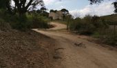 Trail Walking Rognac - Vallon de Mion  - Photo 8