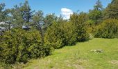 Tour Wandern Glandage - 2019 06 01 Col de la Croix Col Sambue - Photo 1