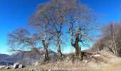 Percorso A piedi Fuipiano Valle Imagna - Sentiero 580: Locatello - Tre Faggi - Photo 1