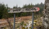 Randonnée Marche Arrentès-de-Corcieux - Champs des roches  - Photo 1