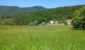 Randonnée Marche Oberhaslach - Le Nideck, entre ruines et cascades - Photo 20