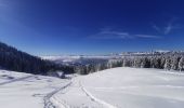 Tocht Sneeuwschoenen Crêts-en-Belledonne - randonnée raquette le Grand Rocher. le Crêt du Poulet  - Photo 9