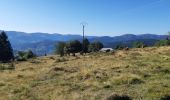 Percorso Marcia Orbey - Col du Wettstein - Hautes-Huttes - Lac du Forlet - Lac Vert - Photo 19