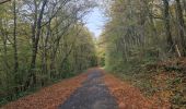 Tocht Stappen Hotton - Ny à travers bois et chemins de campagne - Photo 6