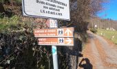 Percorso A piedi Vertova - Il Sentiero di San Patrizio - Photo 5