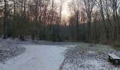 Tocht Stappen Luik - autour du jardin et de l institut botanique - Photo 8