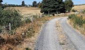 Randonnée Marche Peyre en Aubrac - BOUCLE AU DEPART DE FAU DE PEYRE - Photo 14