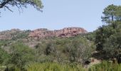 Trail Walking Le Muy - roquebrune - Photo 3