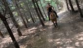 Trail Horseback riding Saint-Apollinaire-de-Rias - St Appollinaire de Rias au top 👍 - Photo 4