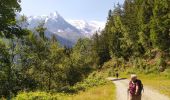Excursión Senderismo Chamonix-Mont-Blanc - 20210809 Chamonix Les Tines - Photo 2