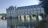 Trail Walking Chenonceaux - Chenonceaux - Photo 3