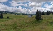 Tocht Stappen Septmoncel les Molunes - mo sentier des lapidaires - Photo 10