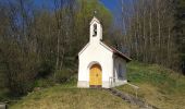 Trail On foot Deining - Jurasteig Mariahilfschlaufe - Photo 9