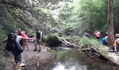 Tocht Stappen Tourves -  Gorges du Caramy plan A - Photo 1