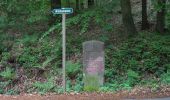 Trail On foot Seelitz - Wanderweg Sörnzig - Noßwitz - Rochlitz - Photo 4