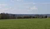 Tour Wandern Olne - 20210414 - Olne 4.2 Km - Photo 10