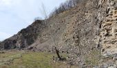 Tour Wandern Aywaille - autour de Dieupart et Sougné sur les deux versants  - Photo 10