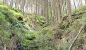 Trail Walking Malmedy - Canyon des Trôs-Marets   - Photo 14