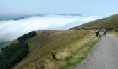 Tour Wandern Saint-Jean-Pied-de-Port - Camino Francés - Etp1 - Saint Jean Pied de Port - Ronceveau - Photo 6