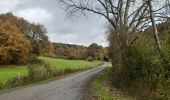 Tocht Stappen Durbuy - aisne . pont le prêtre  . villers sainte gertrude  - Photo 9