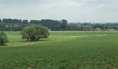 Randonnée Marche Leuze-en-Hainaut - Leuze Marcheurs Souvenir Leuze-en-Hainaut - Photo 1