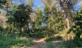 Tour Wandern Cadenet - Cadenet Lourmarin Cadenet - Photo 10