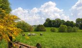 Tour Wandern Nivelles - Balade à Monstreux - Nivelles - Photo 4