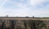 Trail Walking Oupeye - promenade au pays des macrales - Photo 2