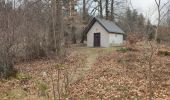 Trail Walking Kaltenborn - Hohe Acht - Photo 7