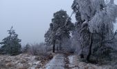 Tocht Stappen Spa - petit tour de la fagne - berinzenne - Photo 10