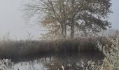 Randonnée Marche Verneuil-sur-Vienne - la merlie - Photo 4